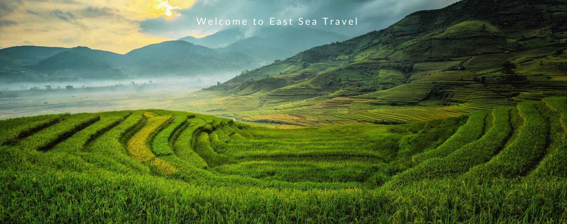 Home banner image1